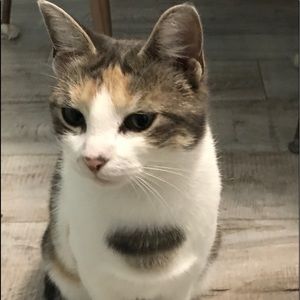 Meet your Posher, Leslie